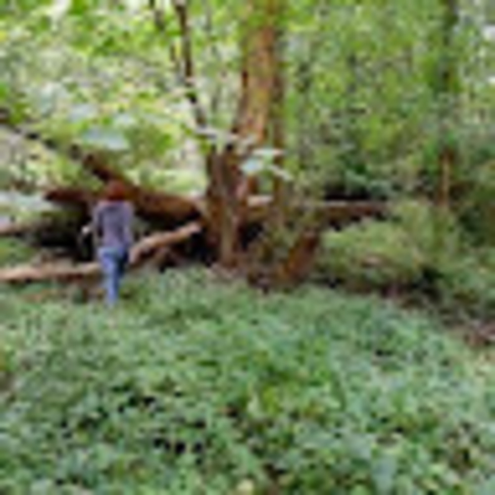 Meet your Posher, Deborah